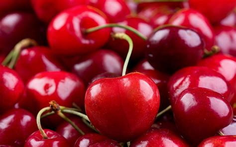 Cherry Photos, Download The BEST Free Cherry Stock Photos